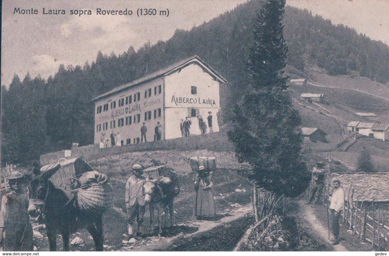 Albergo Monte Laura Sopra Roveredo TI, Transports à Dos D'ânes (4281) 10x15 - Other & Unclassified