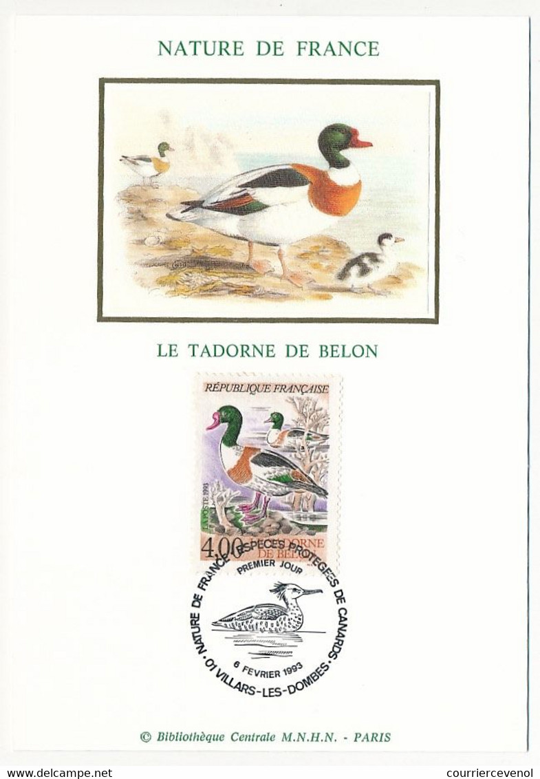 FRANCE - 4 Cartes Maximum Soie - Nature De France, Espèces Protégées De Canards - 01 Villars Les Dombes - 6 Fév 1993 - 1990-1999