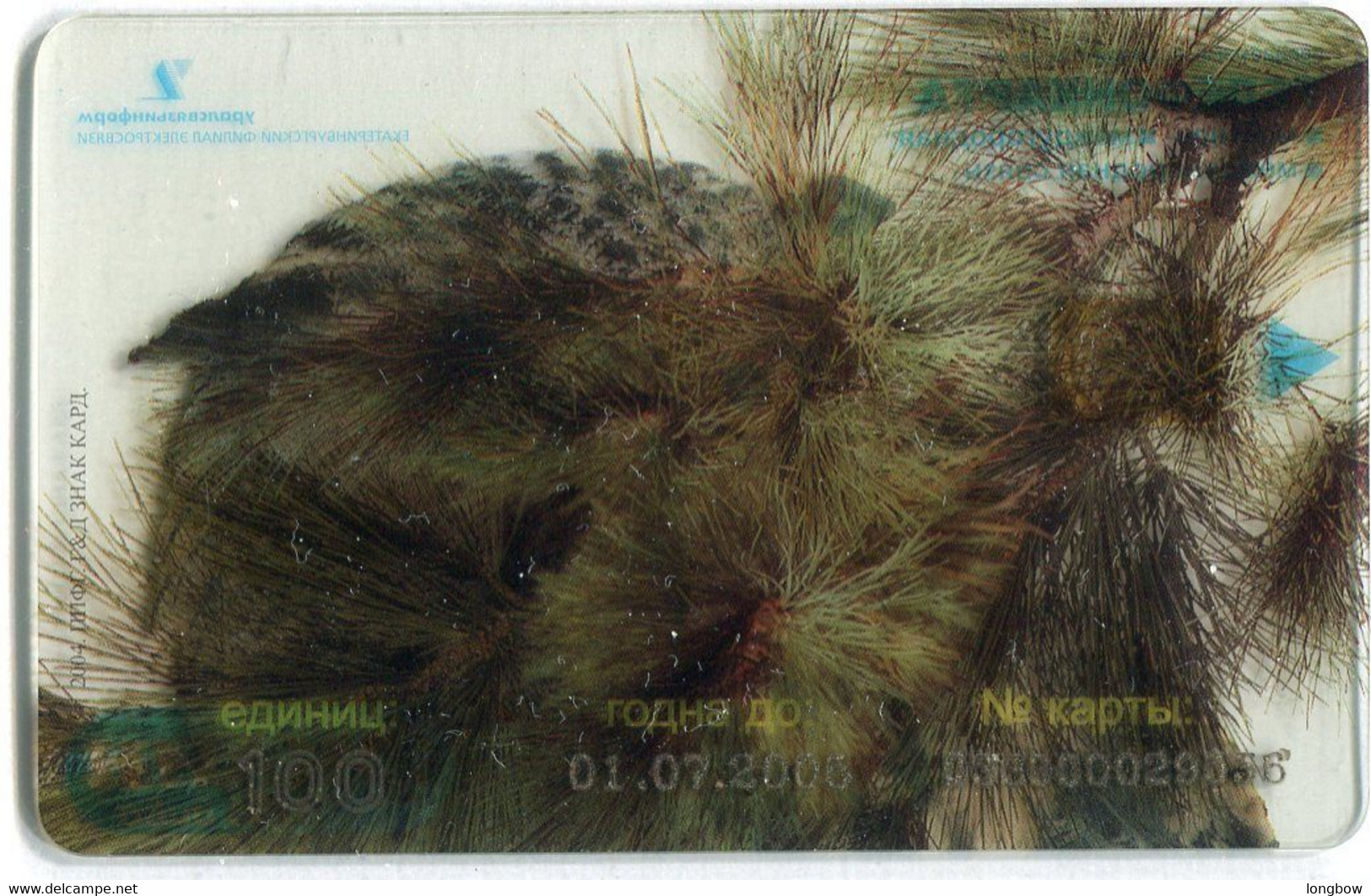 Russia Ekaterinenburg 100un. Trasparent - Eulenvögel