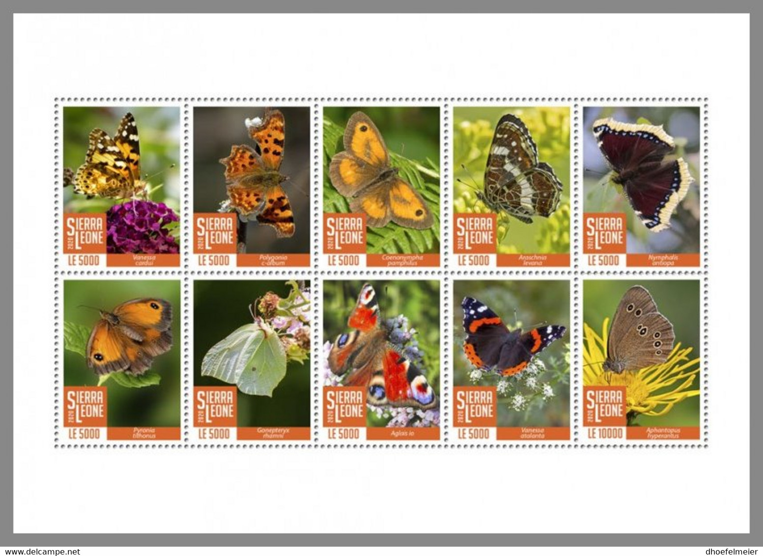 SIERRA LEONE 2020 MNH Butterflies Schmetterlinge Papillons M/S - OFFICIAL ISSUE - DHQ2040 - Butterflies