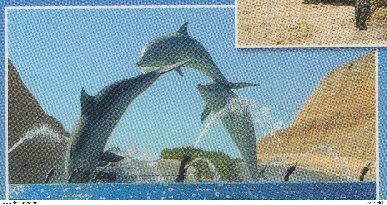 Algarve - Albufeira : Dolphins Fountain  - (Porugal) - Dauphins