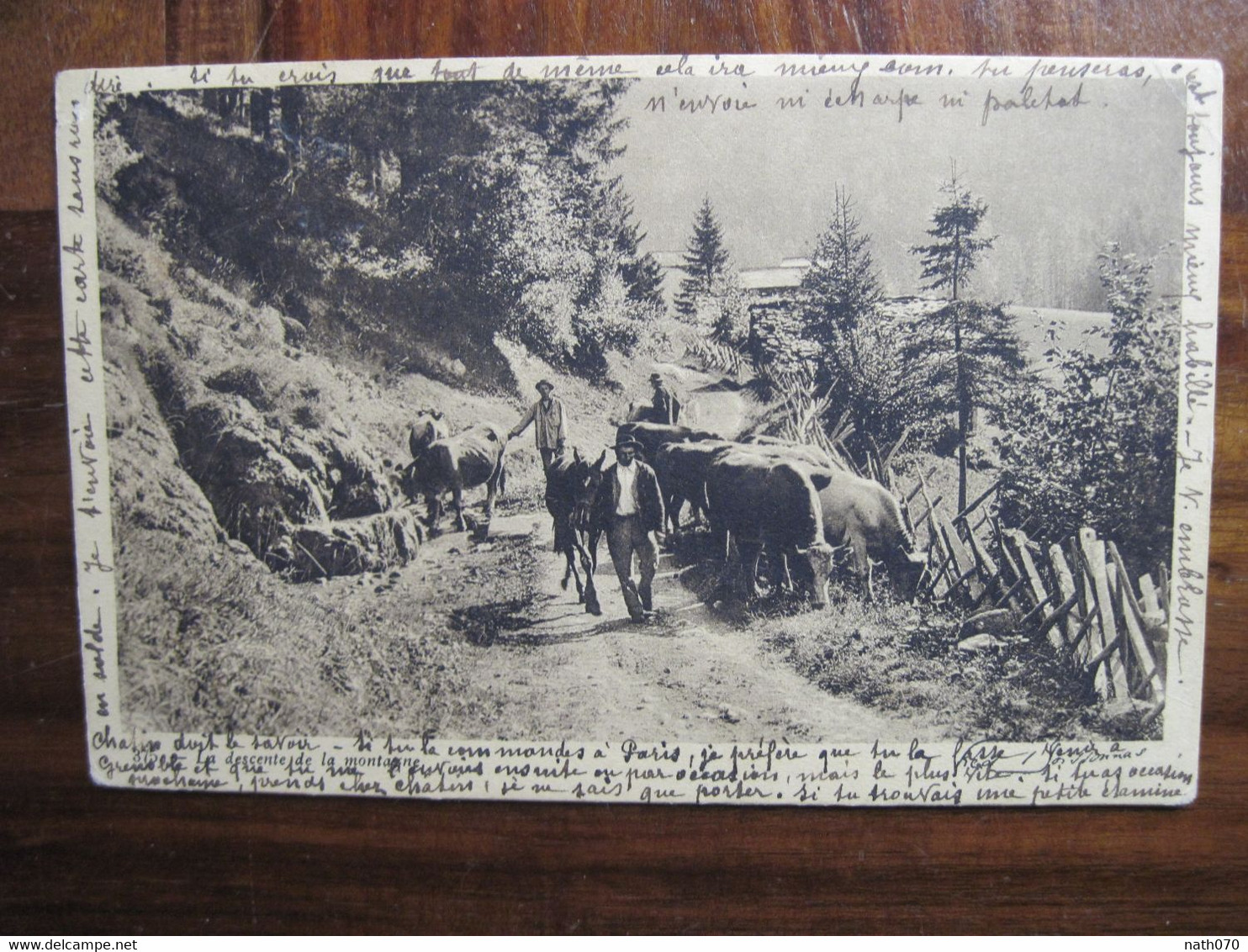 Suisse 1907 Monthey Descente De La Montagne Cpa Ak Schweiz Carte Postale Ancienne - Monthey