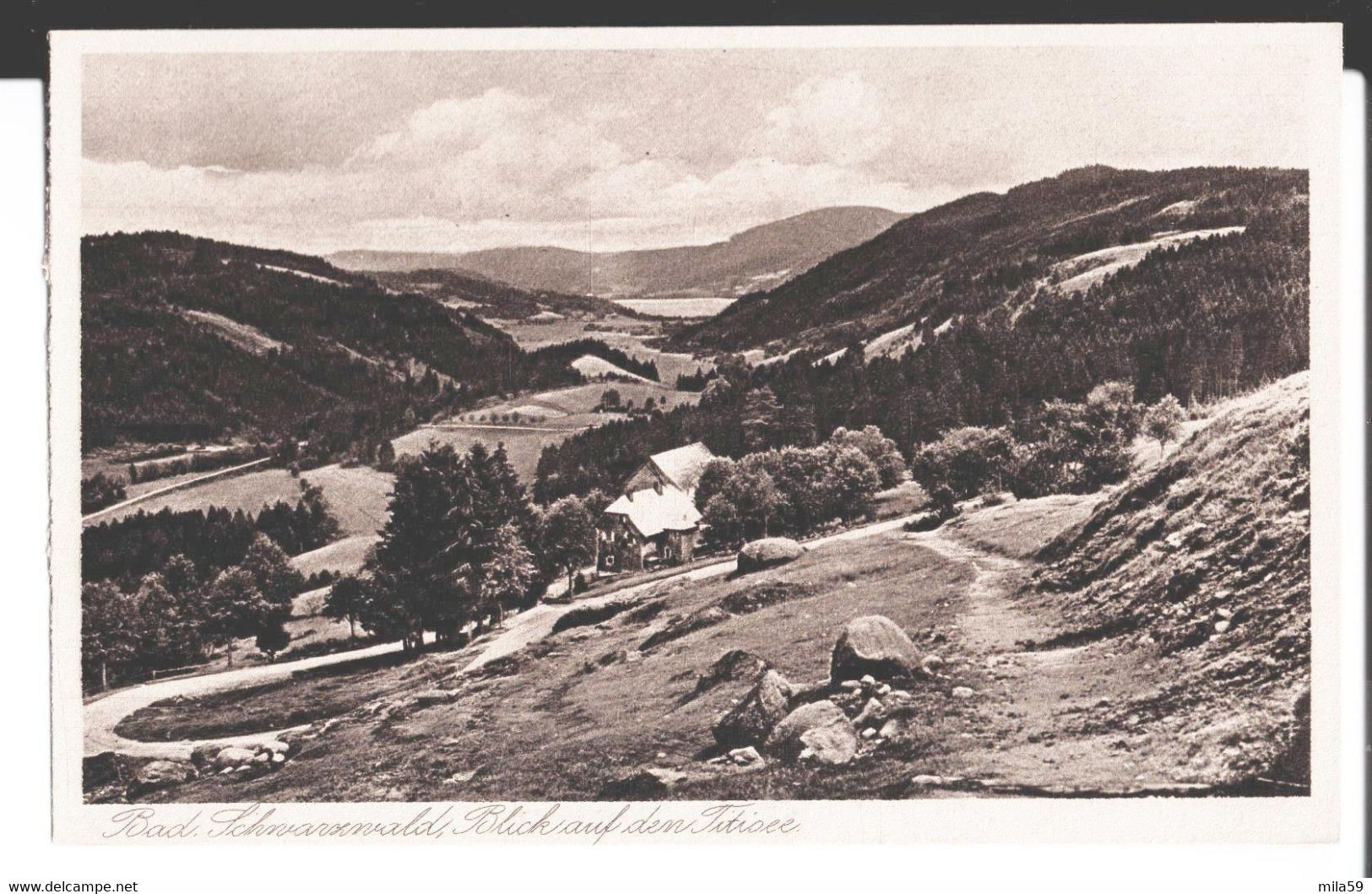 Bad Schwarzwald, Blick Auf Den Fitisee. Série: Schwarzwald Gravure. Emil Hartmann, Mannheim. - Schömberg