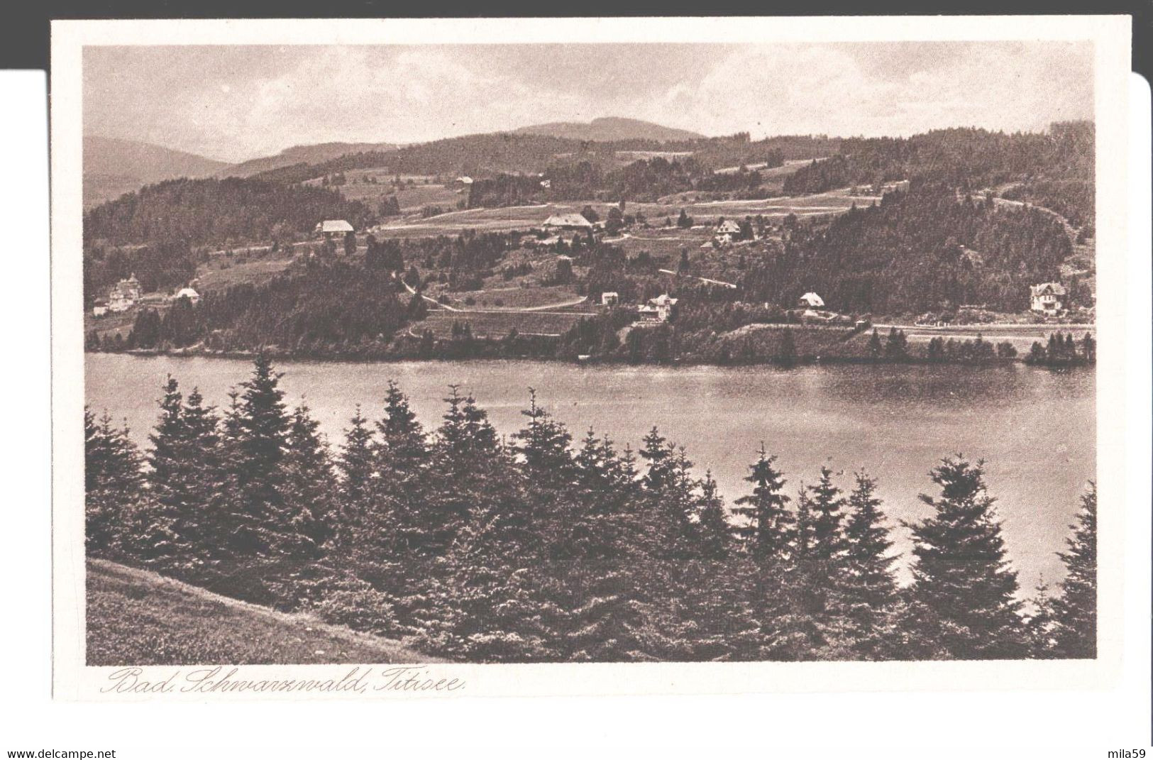 Bad Schwarzwald, Fitisee. Série: Schwarzwald Gravure. Emil Hartmann, Mannheim. - Schömberg