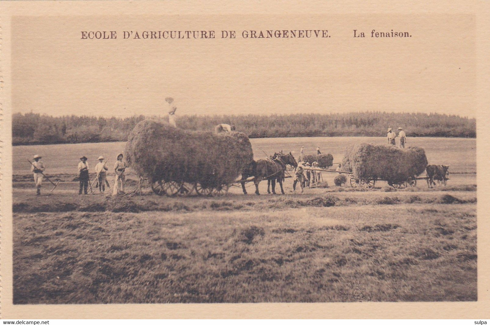 Posieux, Grangeneuve. Ecole D'agriculture. La Fenaison II - Posieux