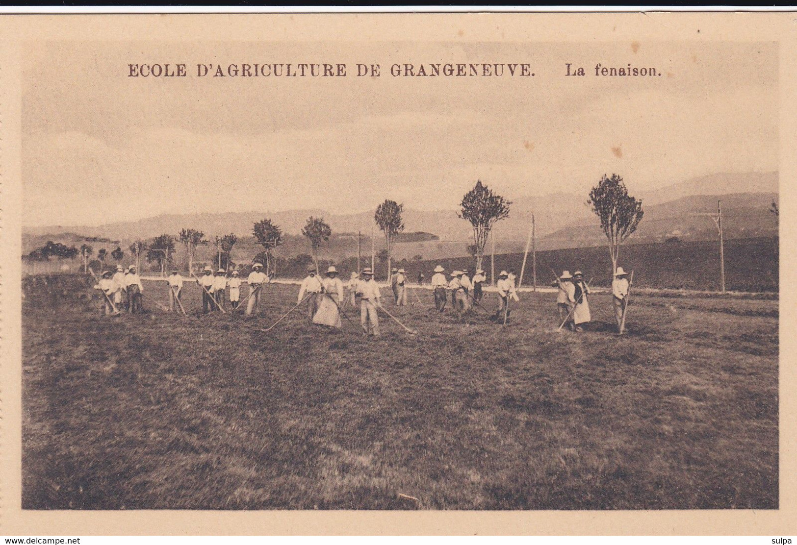 Posieux, Grangeneuve. Ecole D'agriculture. La Fenaison III - Posieux