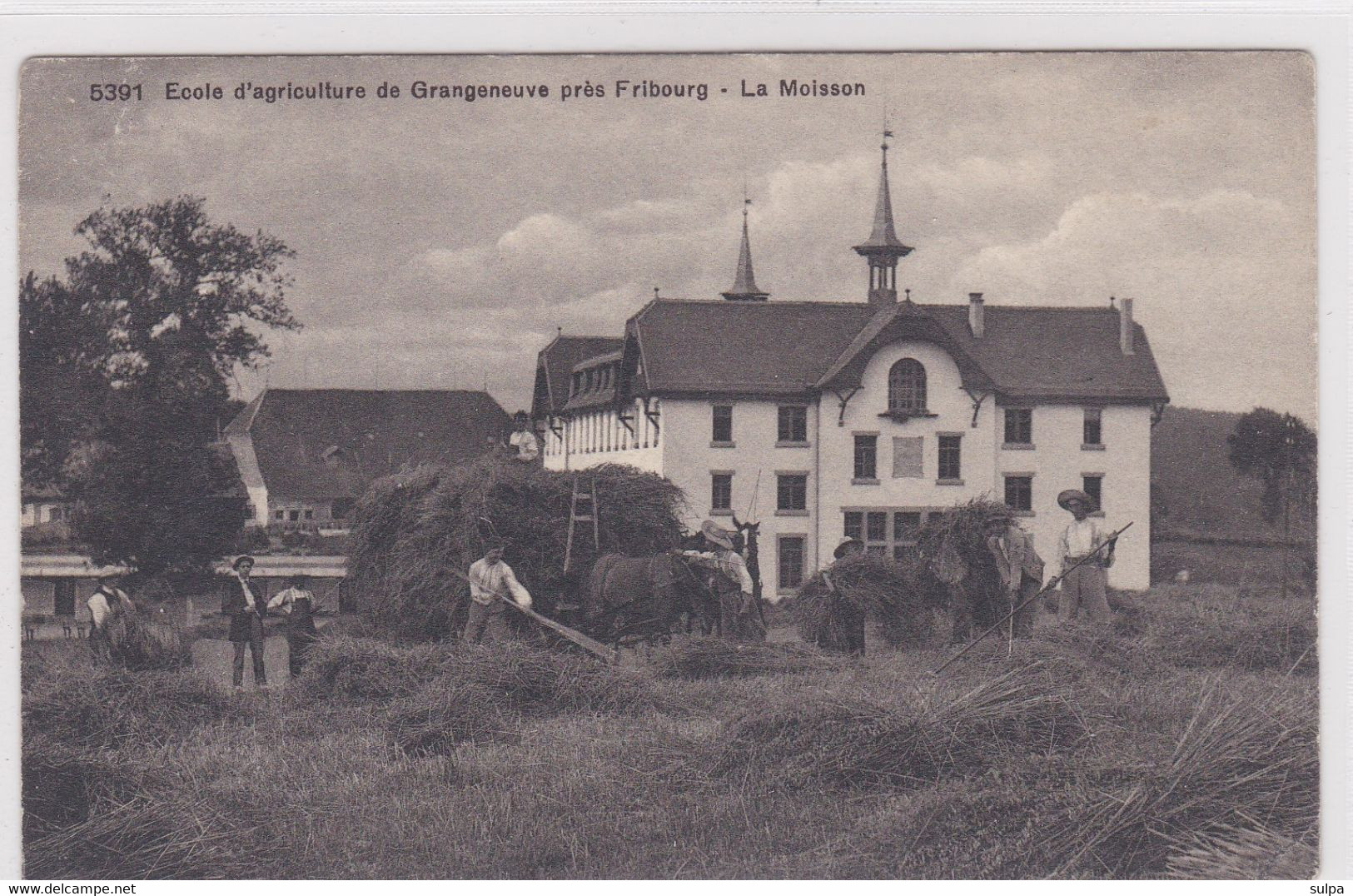 Posieux, Grangeneuve. Ecole D'agriculture. La Moisson - Posieux