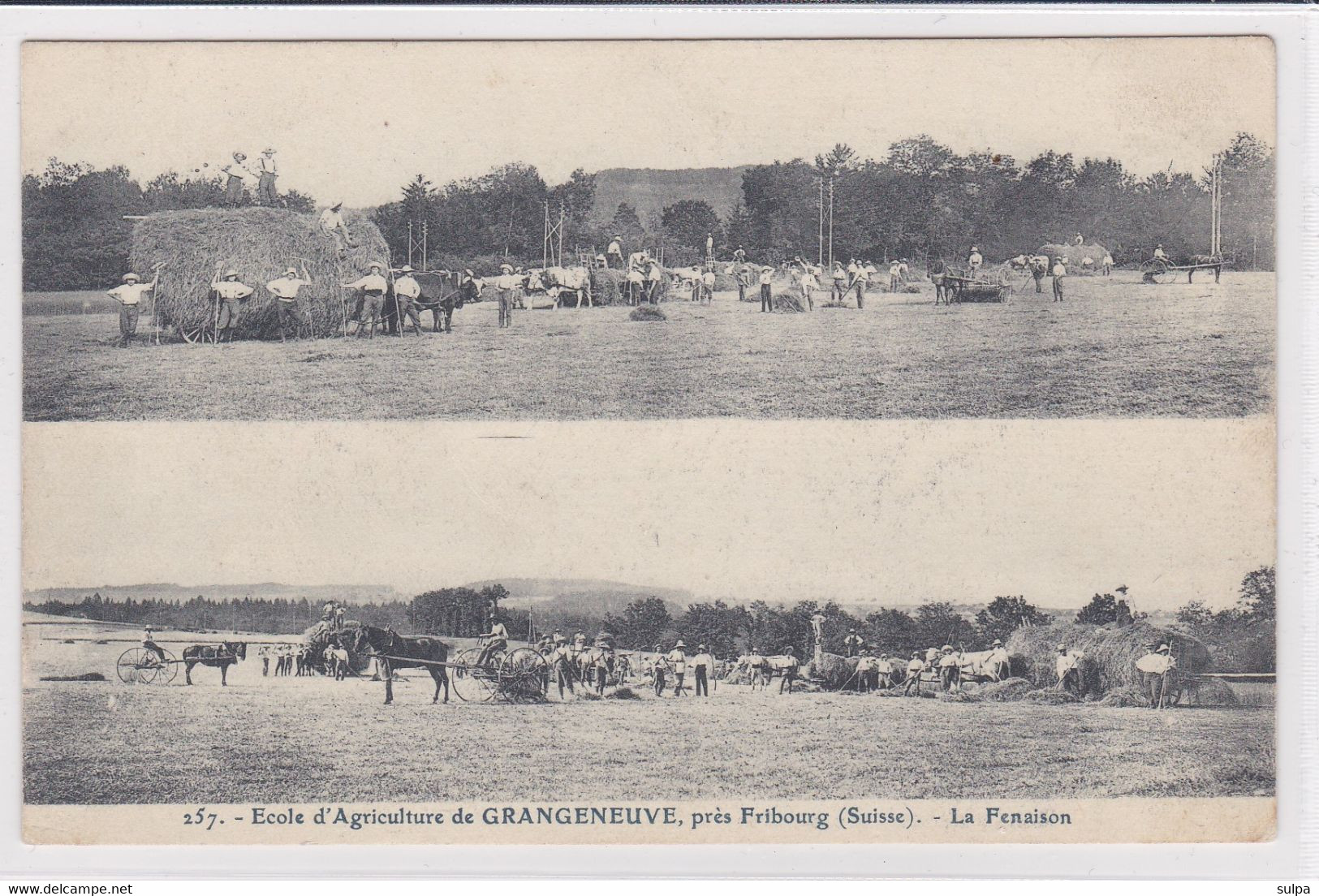 Posieux, Grangeneuve. Ecole D'agriculture. Fenaison, 2 Tableaux - Posieux
