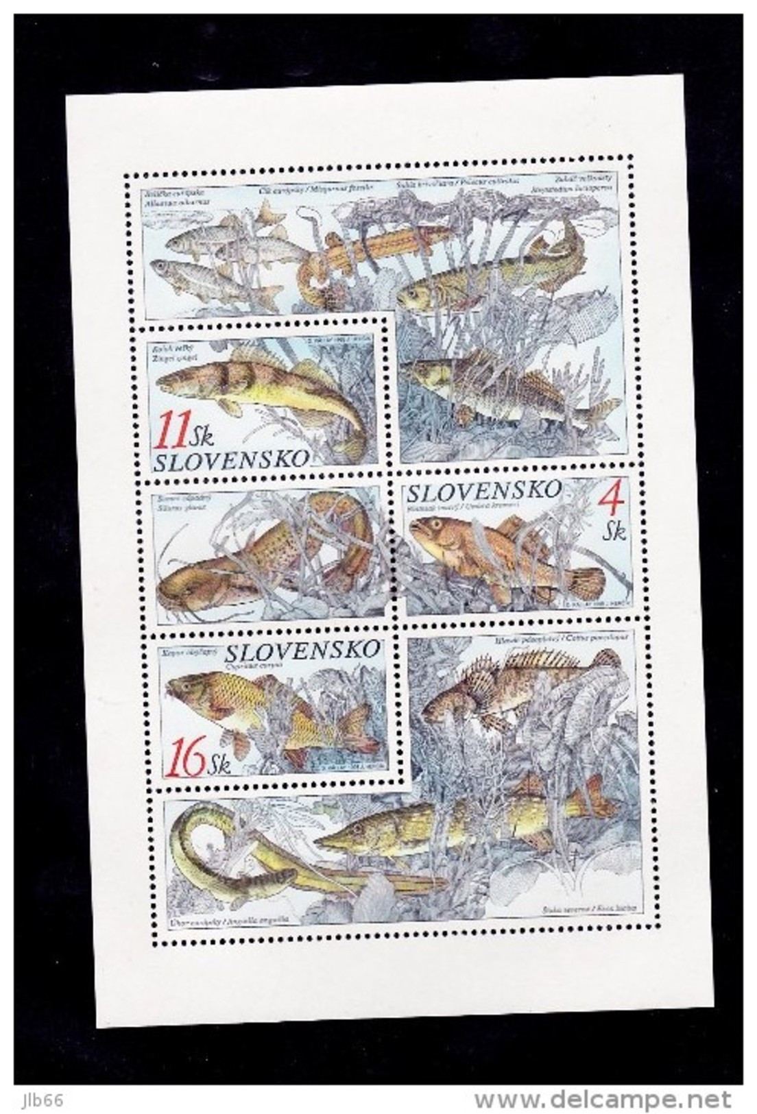 Bloc1998  De 3 Timbres Poisson Chien , Carpe , Apron YT 271/273 Neuf /  Sheet 1998 Mint Mi 317/319 Fishes - Blokken & Velletjes