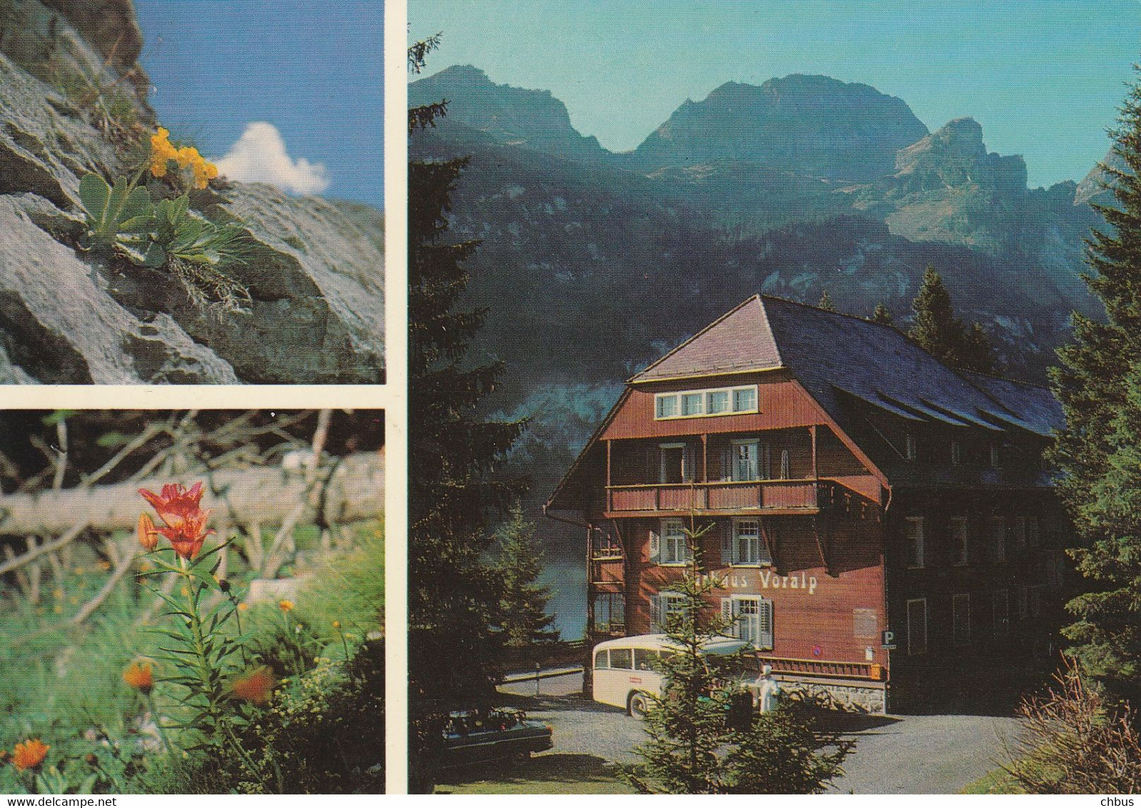 Grabs SG, Kurhaus Voralp; Postauto, Car Postal, Autobus; Alpenblumen - Grabs