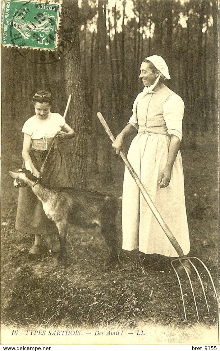 72 TYPES SARTHOIS LE REGARD BIENVEILLANT POUR L ENFANT ET LA CHEVRE GOAT DES AMIS - Auvergne