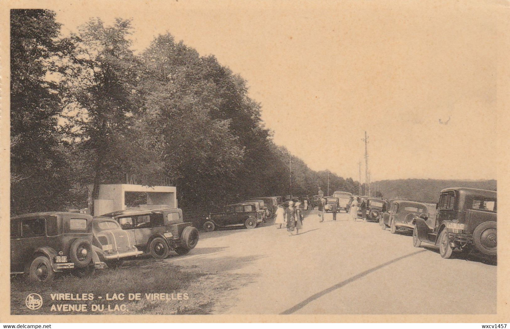 Virelles  Lez  Chimay ,   Le Lac De Virelles ,  Avenue Du Lac - Chimay