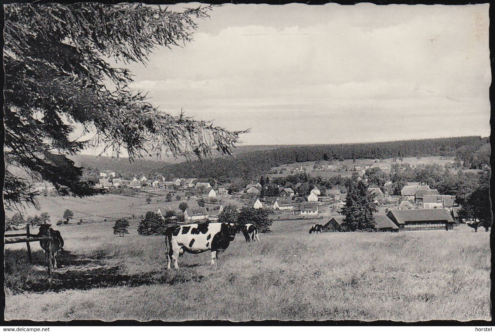 D-37603 Holzminden/ Neuhaus  (Solling)  - Ortsansicht ( Echt Foto) - Holzminden