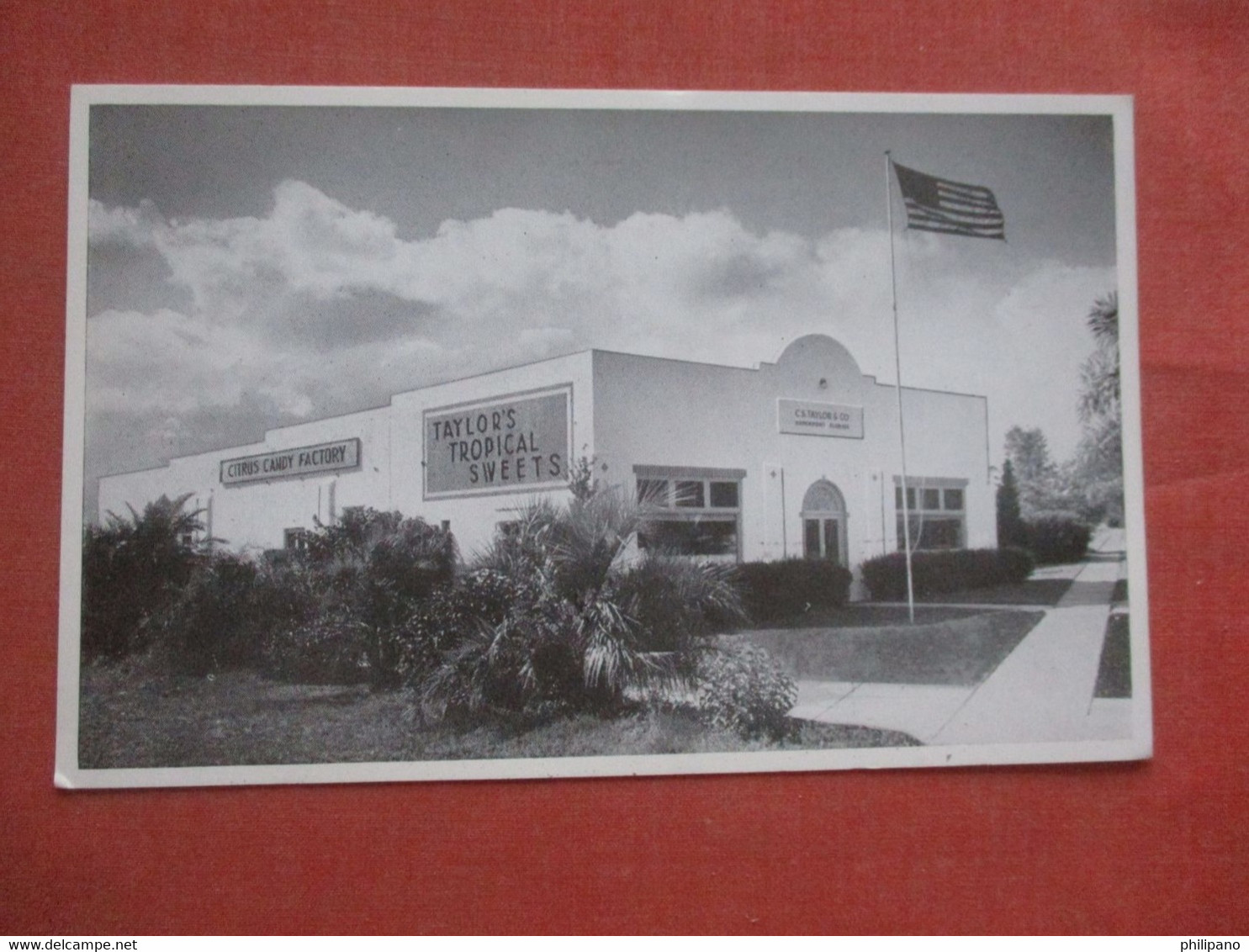 Candy Plant  Taylors Tropical Sweets Davenport       Ref 4426 - Fort Myers