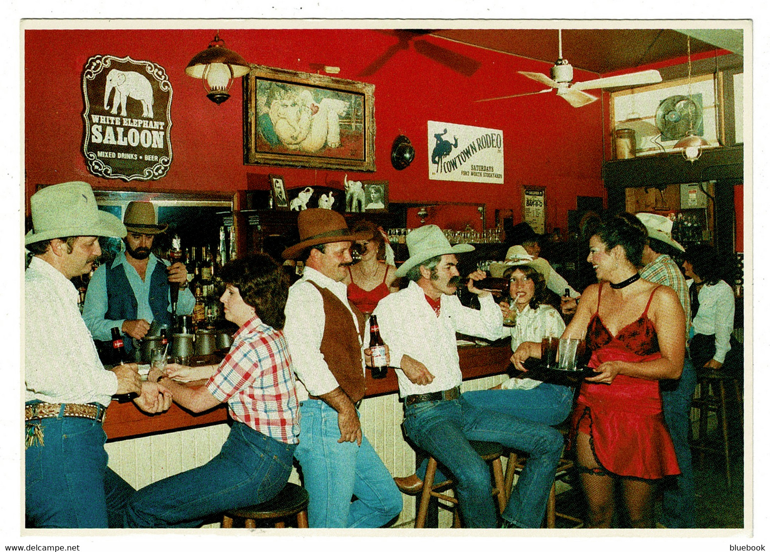 Ref 1411 - USA Postcard - White Elephanr Saloon - Fort Worth Texas - Fort Worth