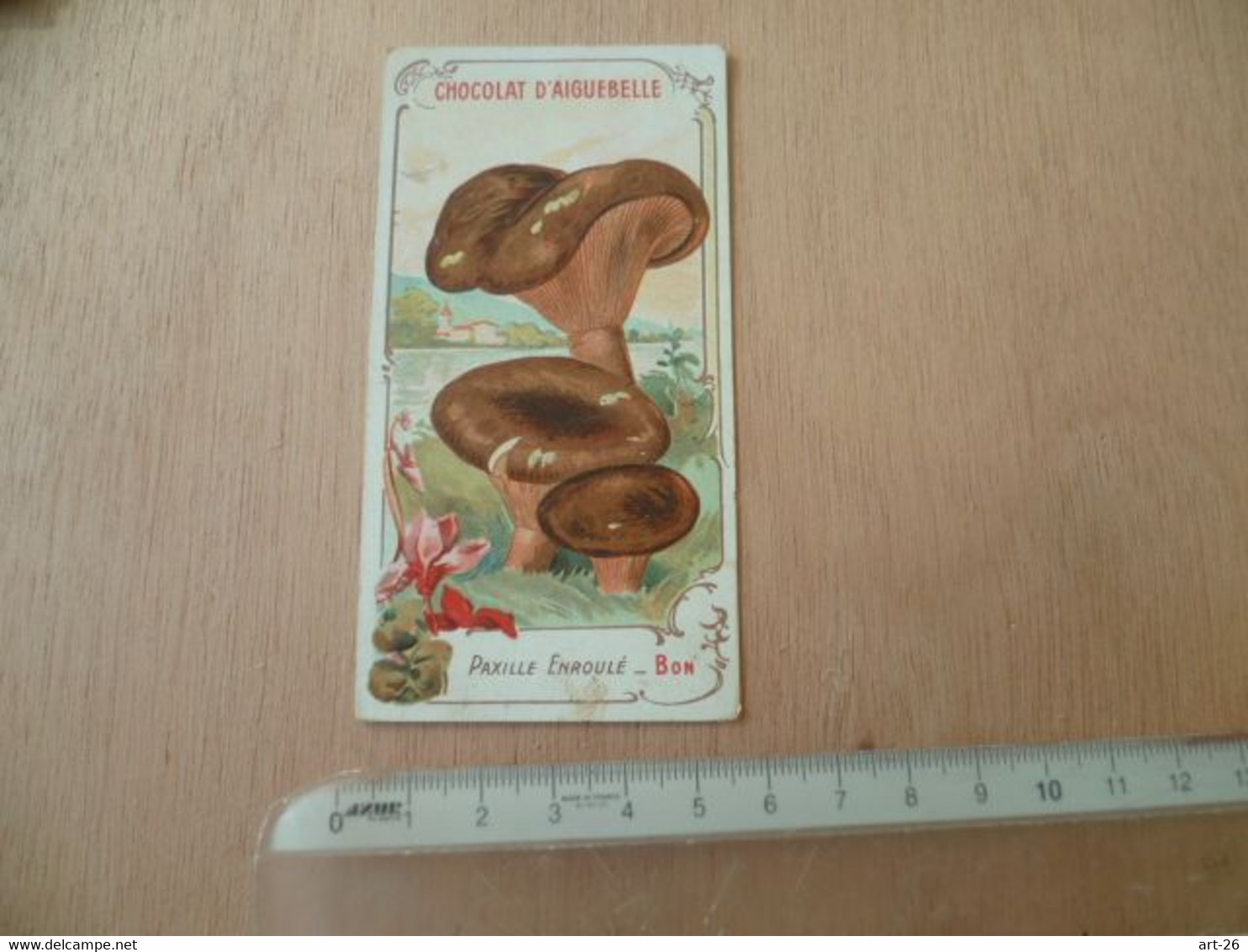 CHROMOS  CHOCOLAT AIGUEBELLE  CHAMPIGNON  MUSHROOM - Aiguebelle