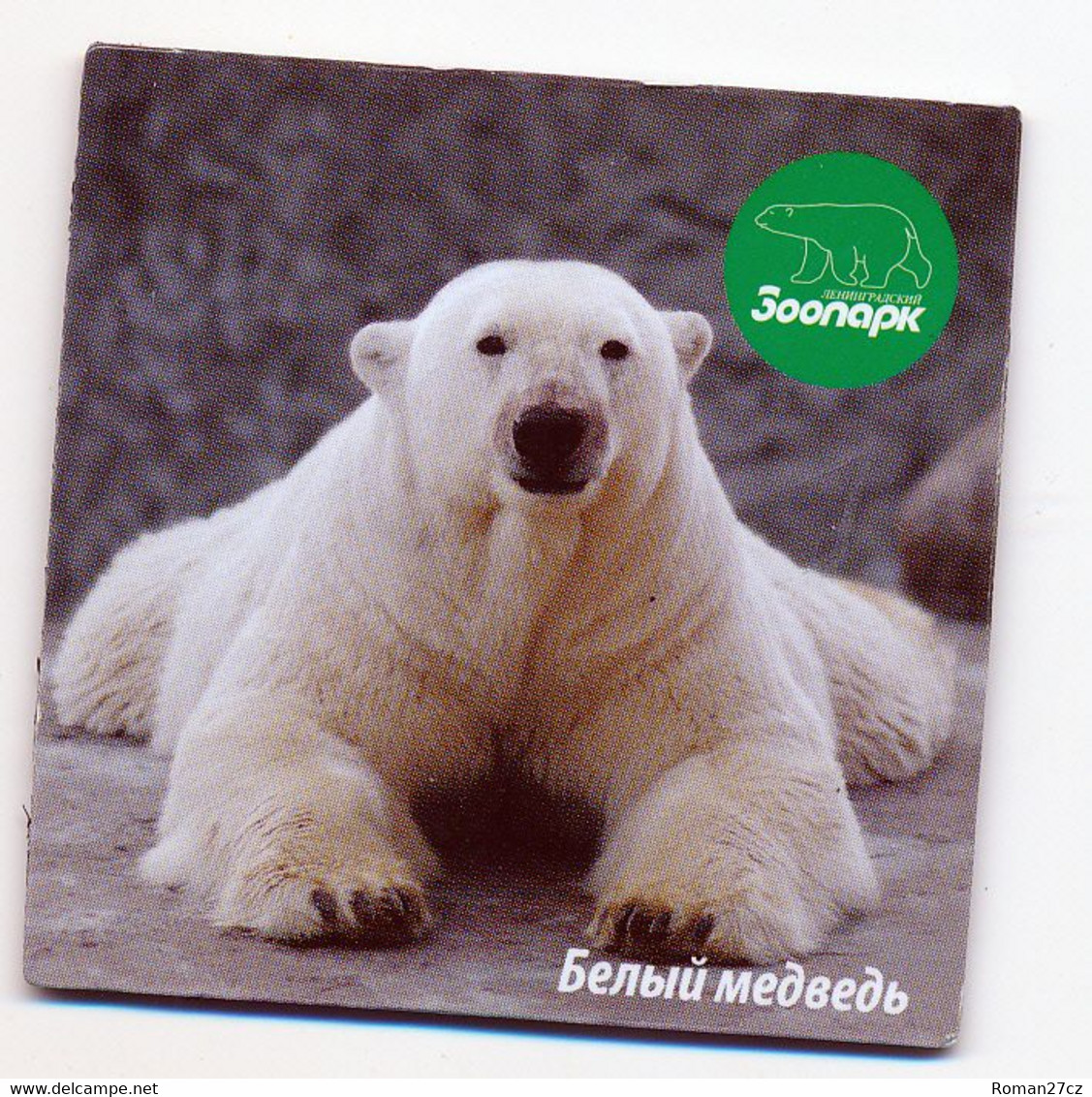 ZOO Leningrad (RU) - Polar Bear - Tierwelt & Fauna