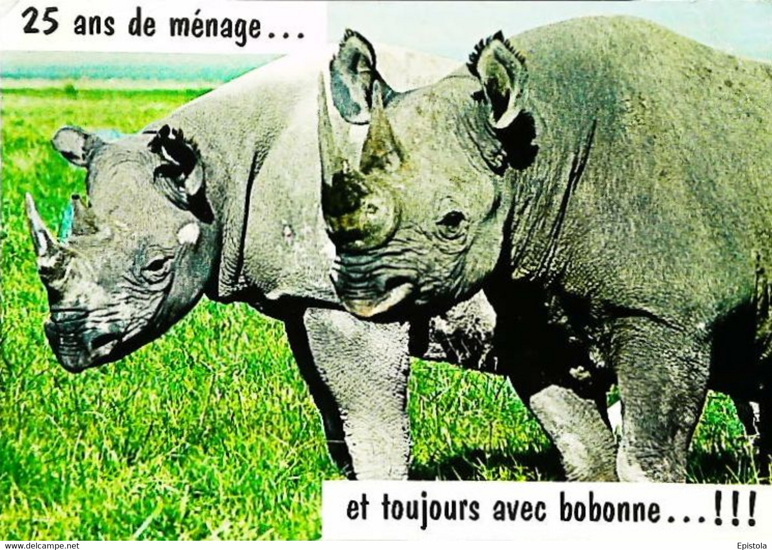 Rhinocéros  2 Ans De Mariage Et Toujours Avec Bobonne  1970 - Rhinozeros