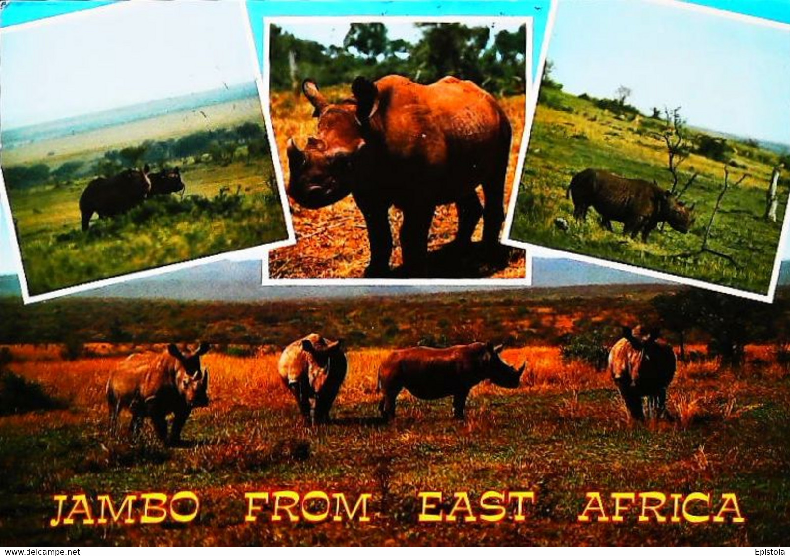 Rhinocéros  Kenya   Timbre Stamp - Rhinocéros