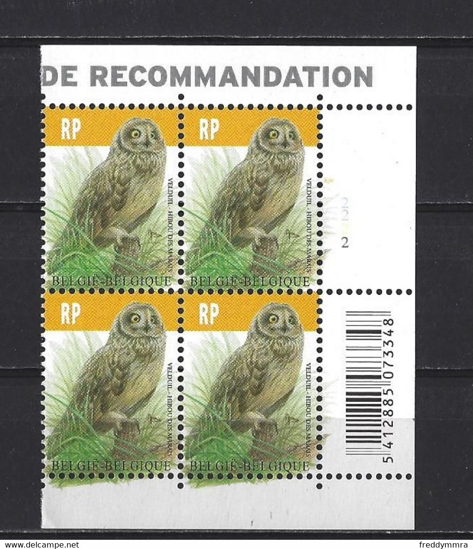 Belgique: 4218 **  Bloc De 4 - Hibou Des Marais - 1985-.. Pájaros (Buzin)