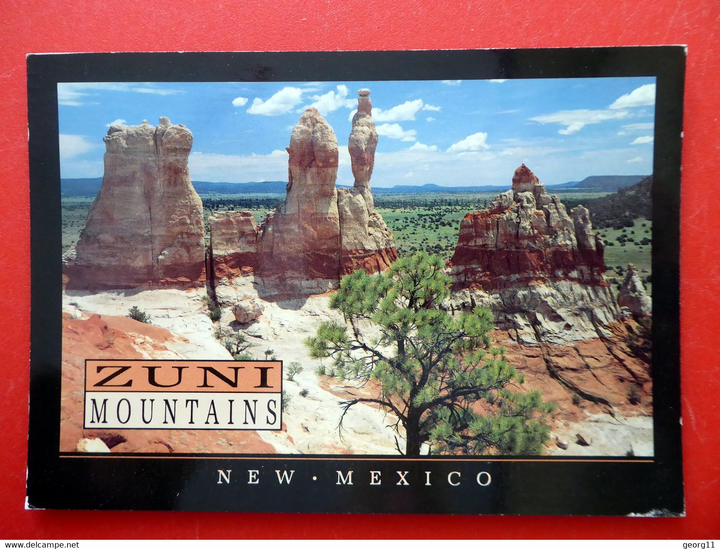 Zuñi Mountains - New Mexico - Cibola National Fores - USA - Albuquerque
