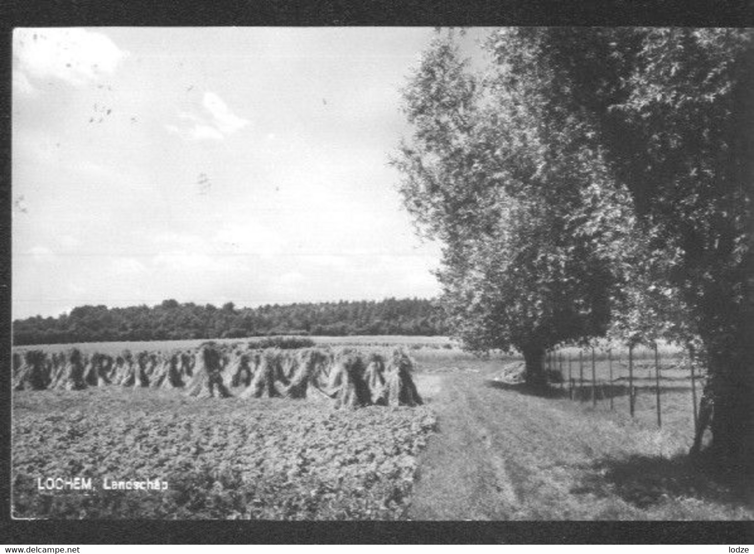 Nederland Holland Pays Bas Lochem Fraai Landschap - Lochem