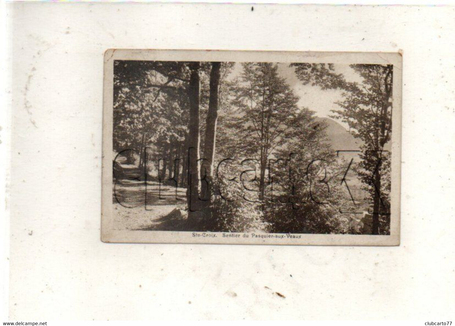 Sainte-Croix  (Suisse, Vaud) : Le Sentier Du Pasquier-aux-Vaux De 1920 PF - Sainte-Croix 