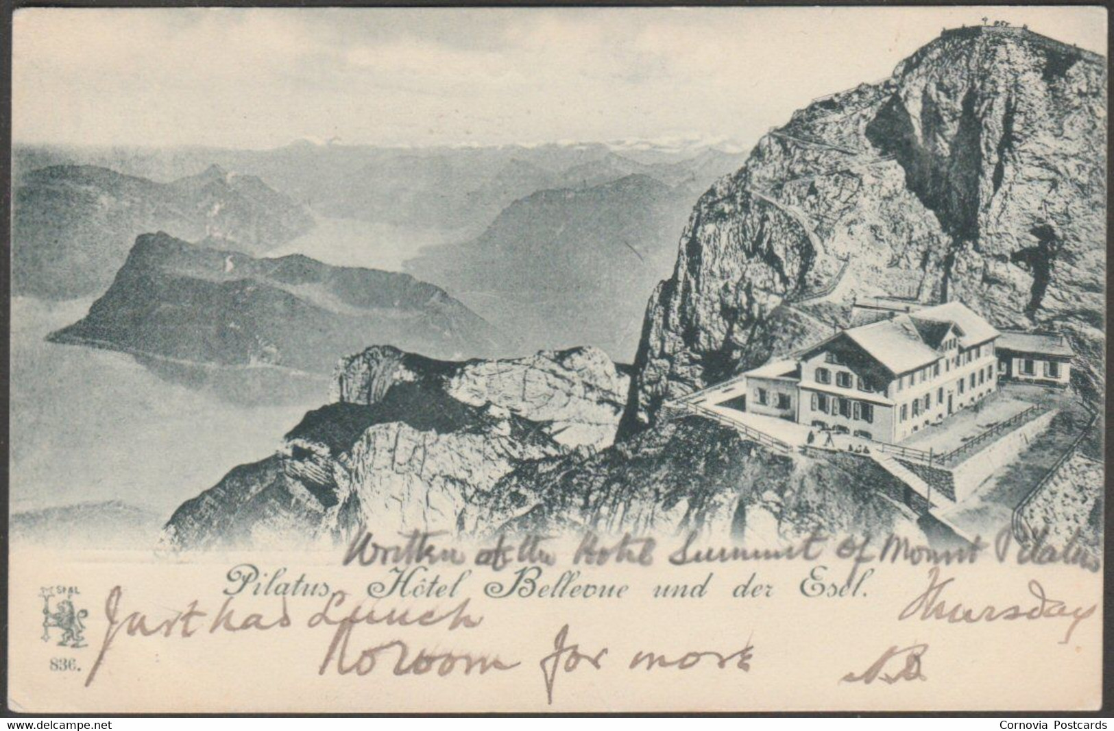 Hôtel Bellevue Und Der Esel, Pilatus, 1900 - Stern & Löb AK - Sonstige & Ohne Zuordnung