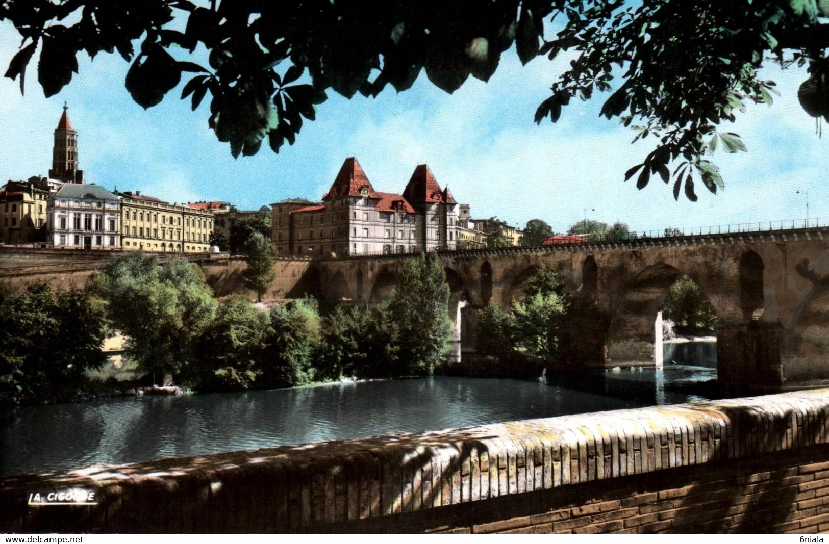 3444  Carte Postale MONTAUBAN  Les Bords Du Tarn Et Le Vieux Pont           82  Tarn Et Garonne - Montauban