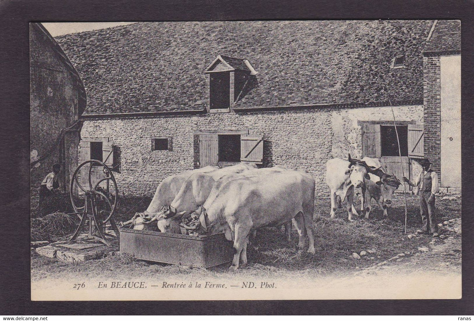 CPA Beauce Agriculture Métier écrite En Beauce N° 276 - Ile-de-France