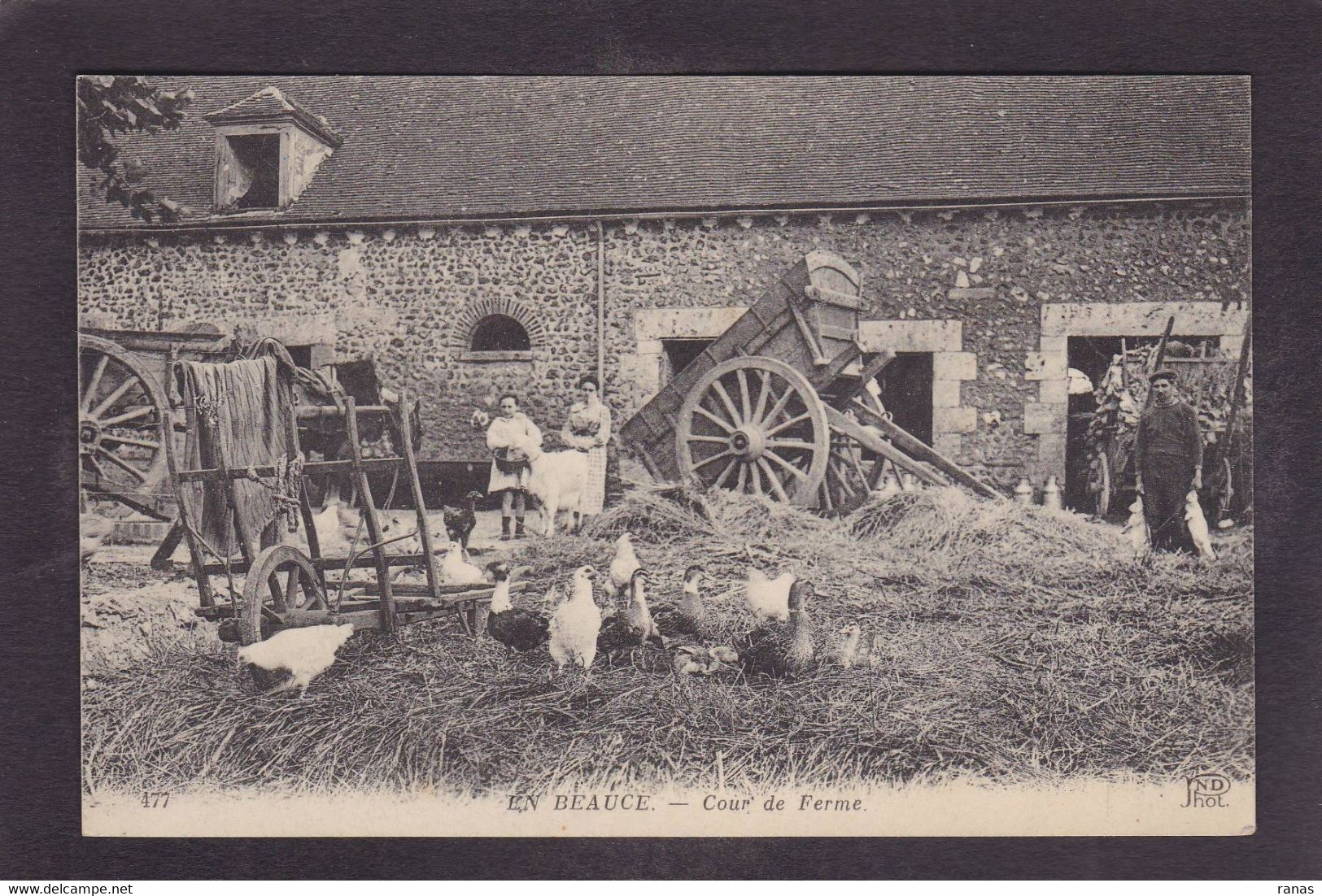 CPA Beauce Agriculture Métier écrite En Beauce N° 477 Ferme - Ile-de-France