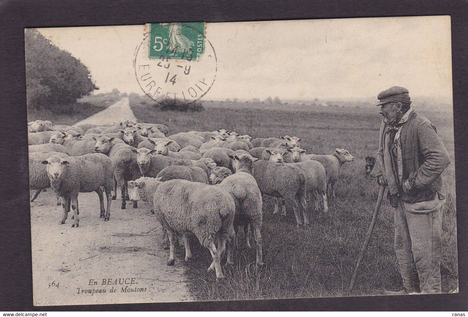 CPA Beauce Agriculture Métier Circulé En Beauce N° 564 Moutons - Ile-de-France