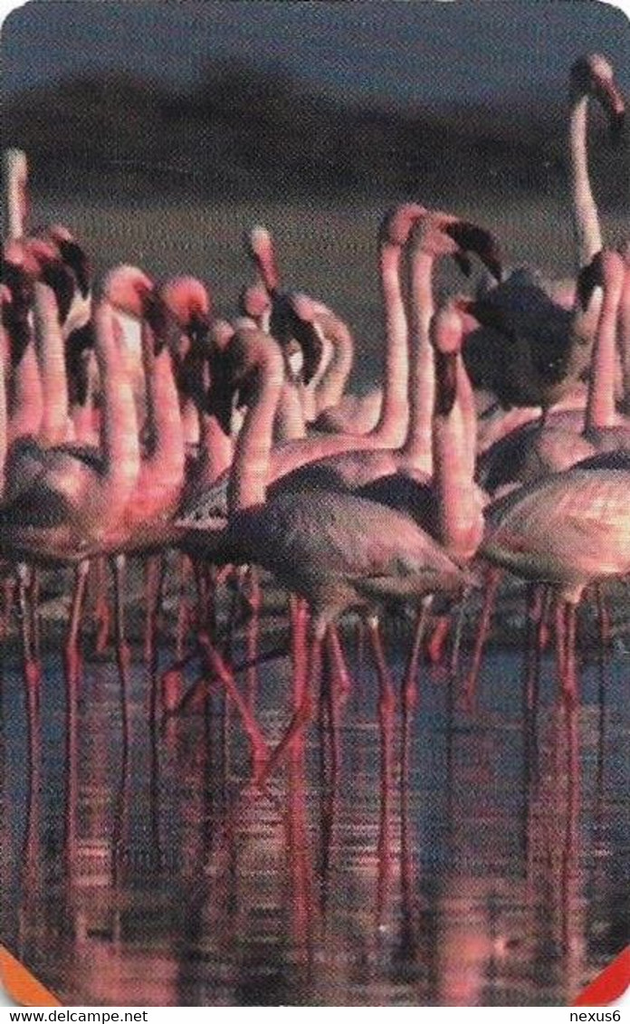 S. Africa - MTN - Flamingos Standing Puzzle 3/4, SC7, R15, 01.2001, 100.000ex, Used - South Africa