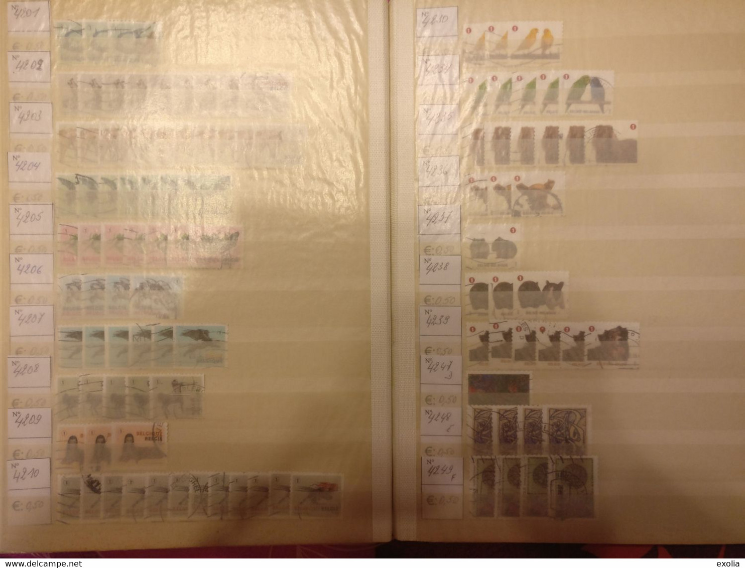Classeur 48 pages timbres Belgique oblitérés et classés numéros 2949 à 4490 BD Buzin Royauté Lire description complète