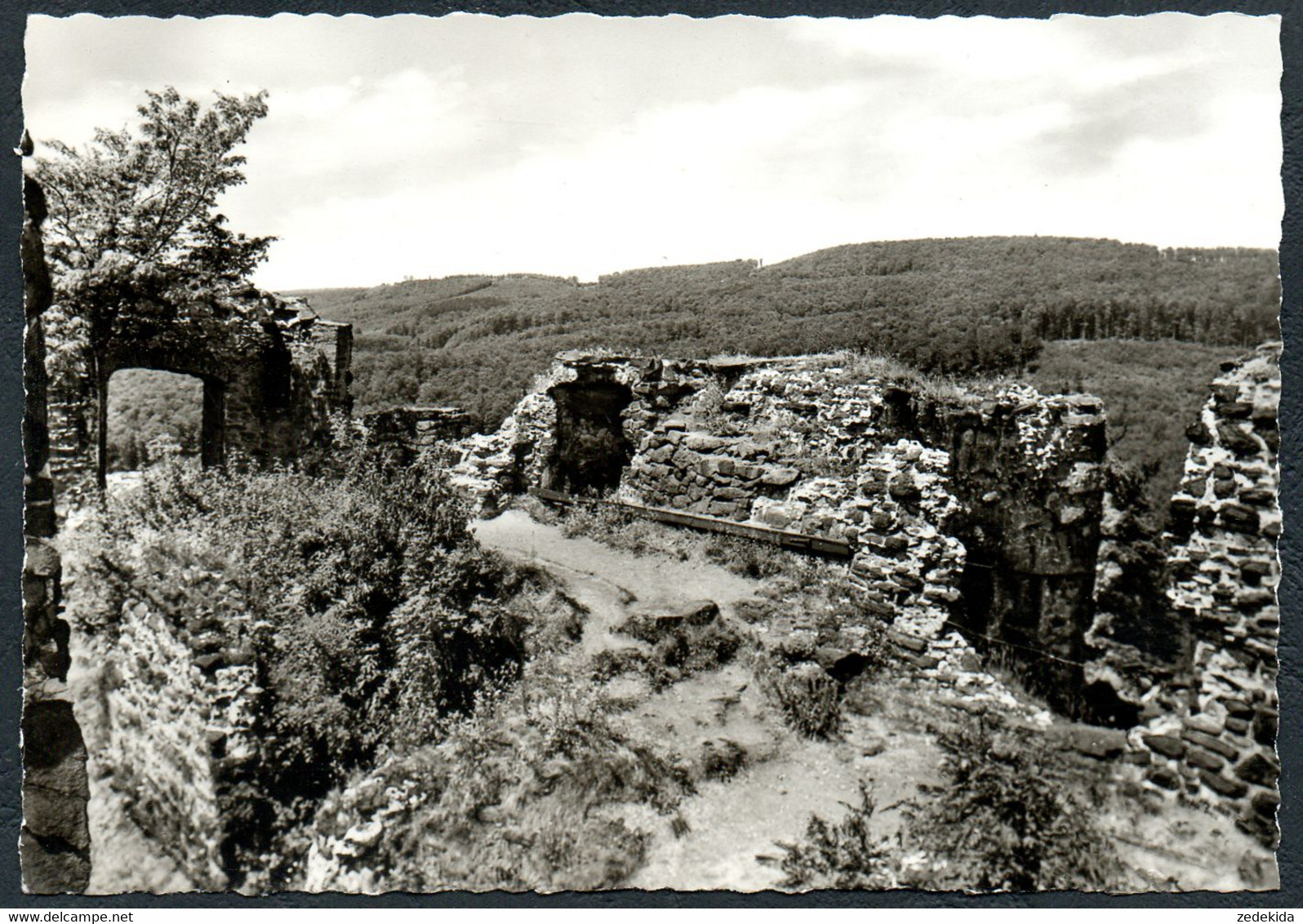 B4004 - TOP Neustadt Ruine Hohnstein - Gebr. Garloff - Neustadt / Orla