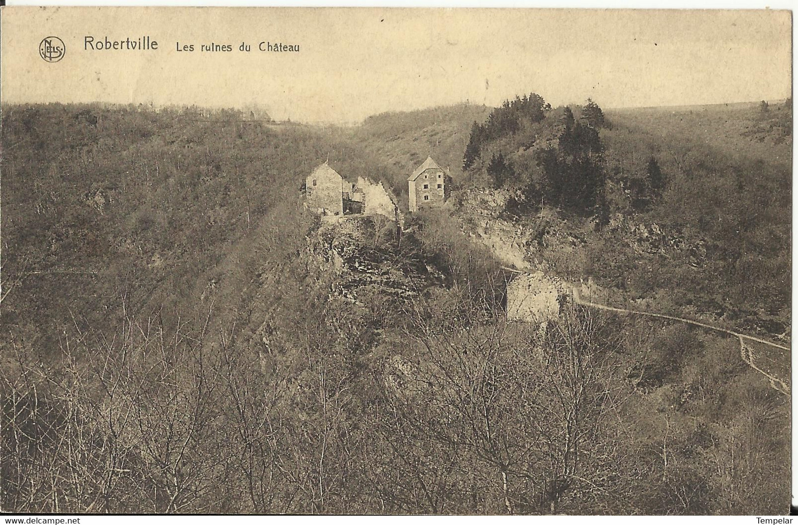 Robertville - Les Ruines Du Château - Waimes - Weismes