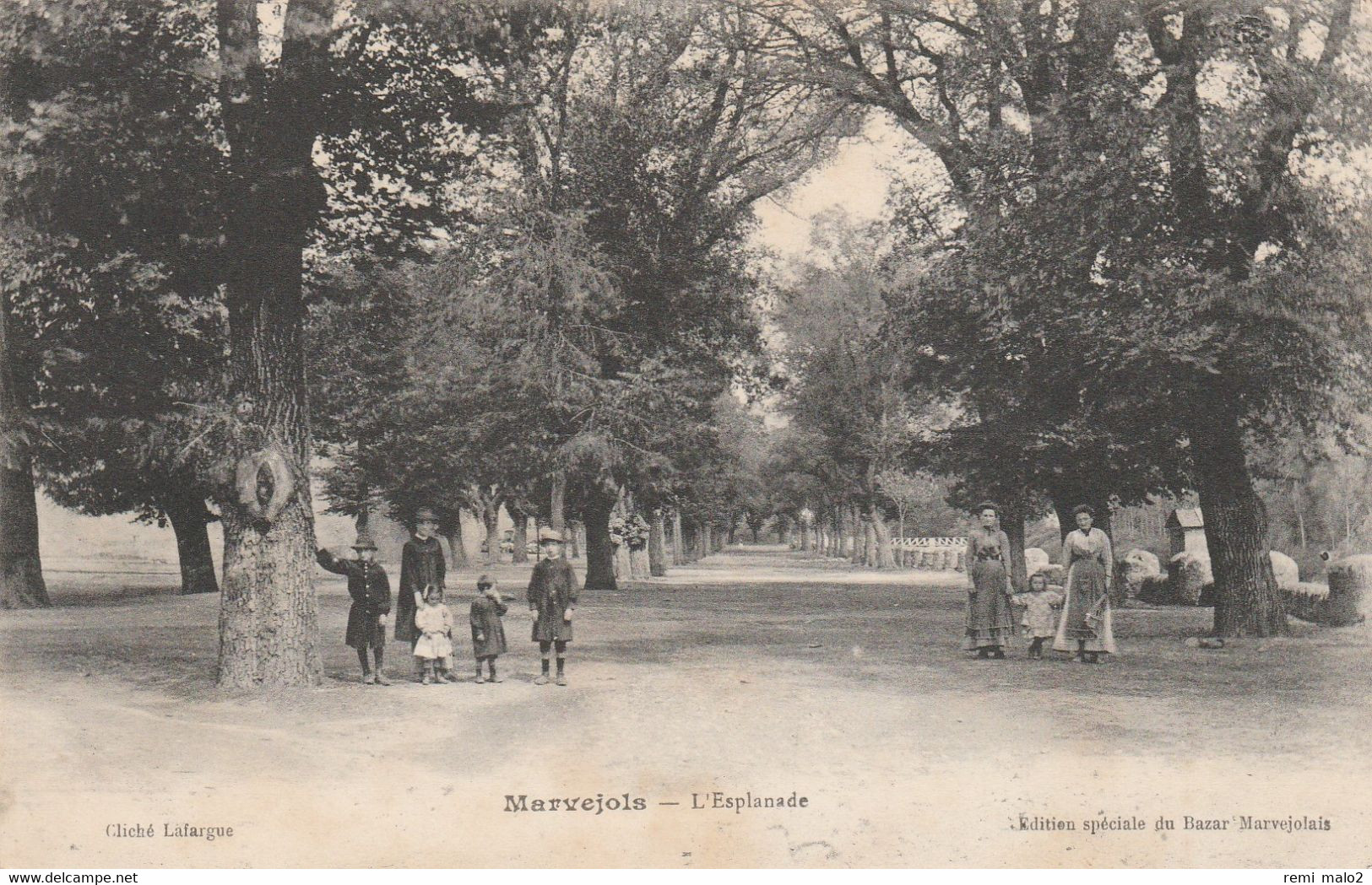 CARTE POSTALE   MARVEJOLS 48  L'Esplanade - Marvejols