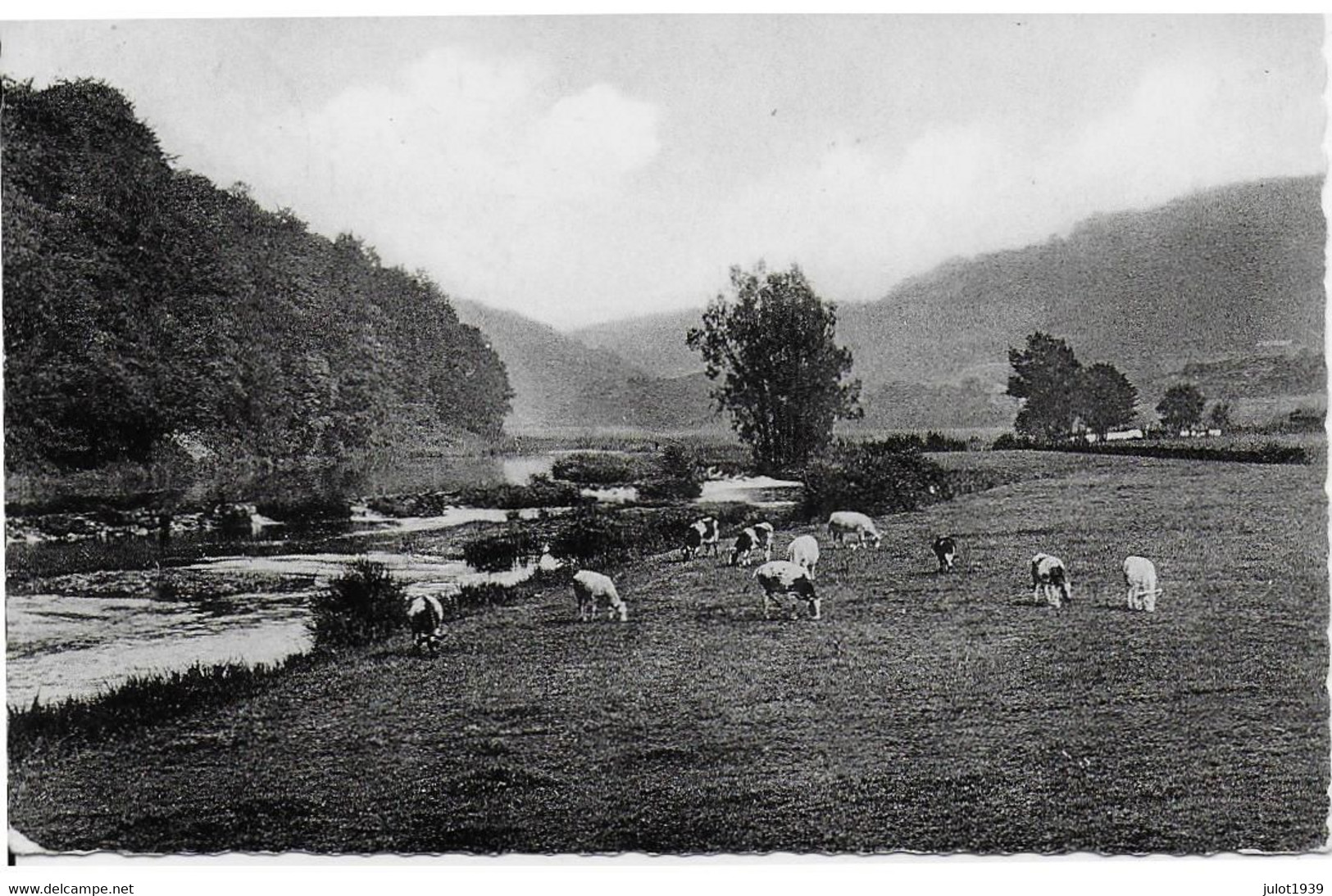 MORTEHAN ..-- Vaches En Pâture . Vers MONTIGNIES ( Mr Adolphe BAYET ) . Voir Verso . - Bertrix