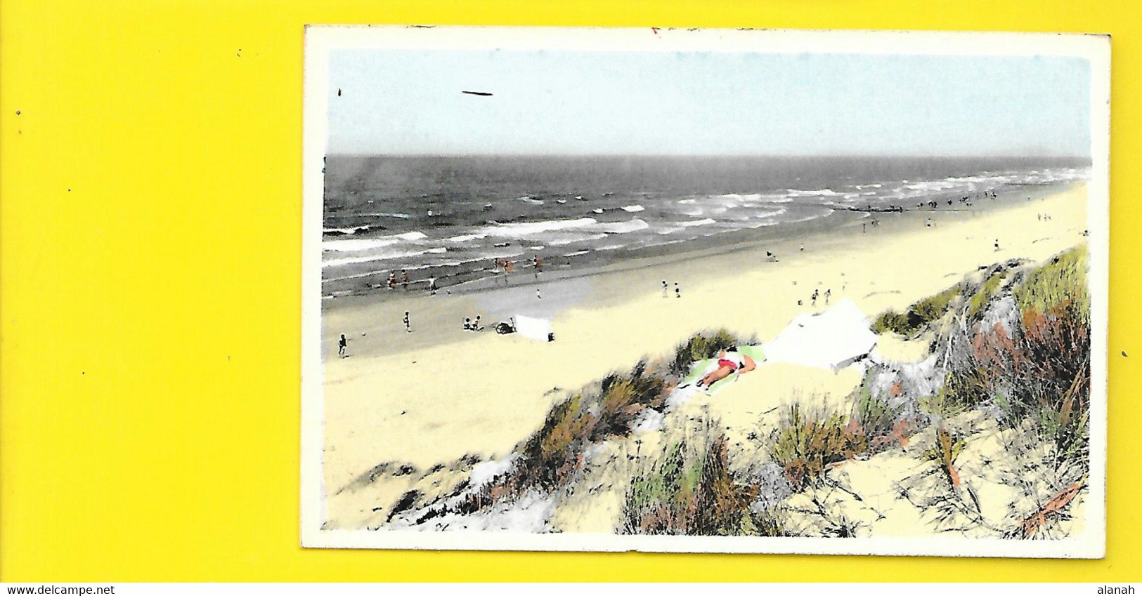 COQ Sur MER De Haan A/Zee Mer Et Dunes (Artcolor) Belgique - De Haan