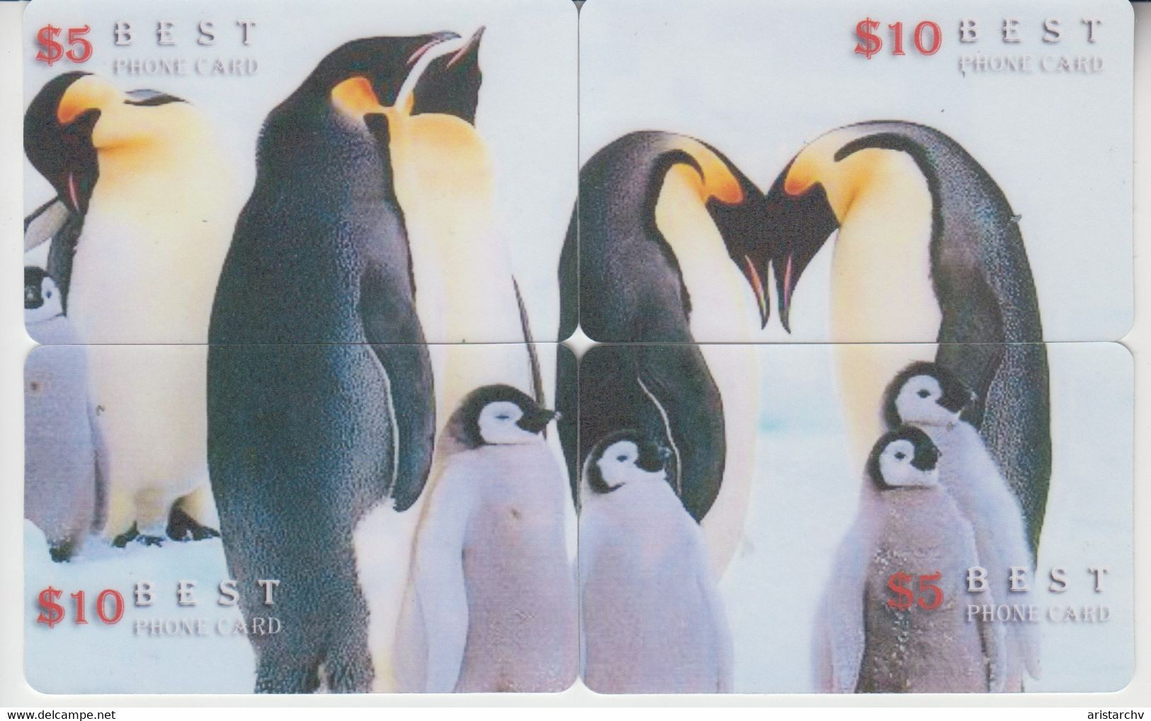 BIRD PINGUIN 20 PUZZLES OF 80 CARDS - Pingouins & Manchots