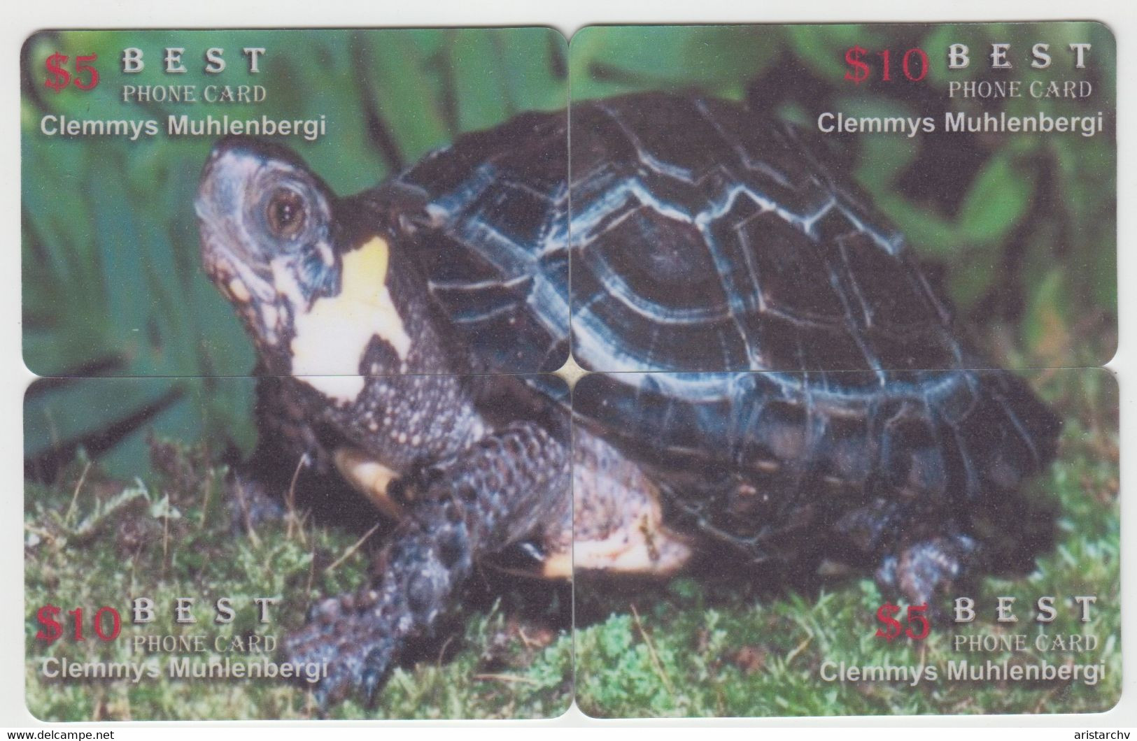 ISRAEL TURTLE TORTOISE 2 PUZZLES OF 8 CARDS - Schildpadden