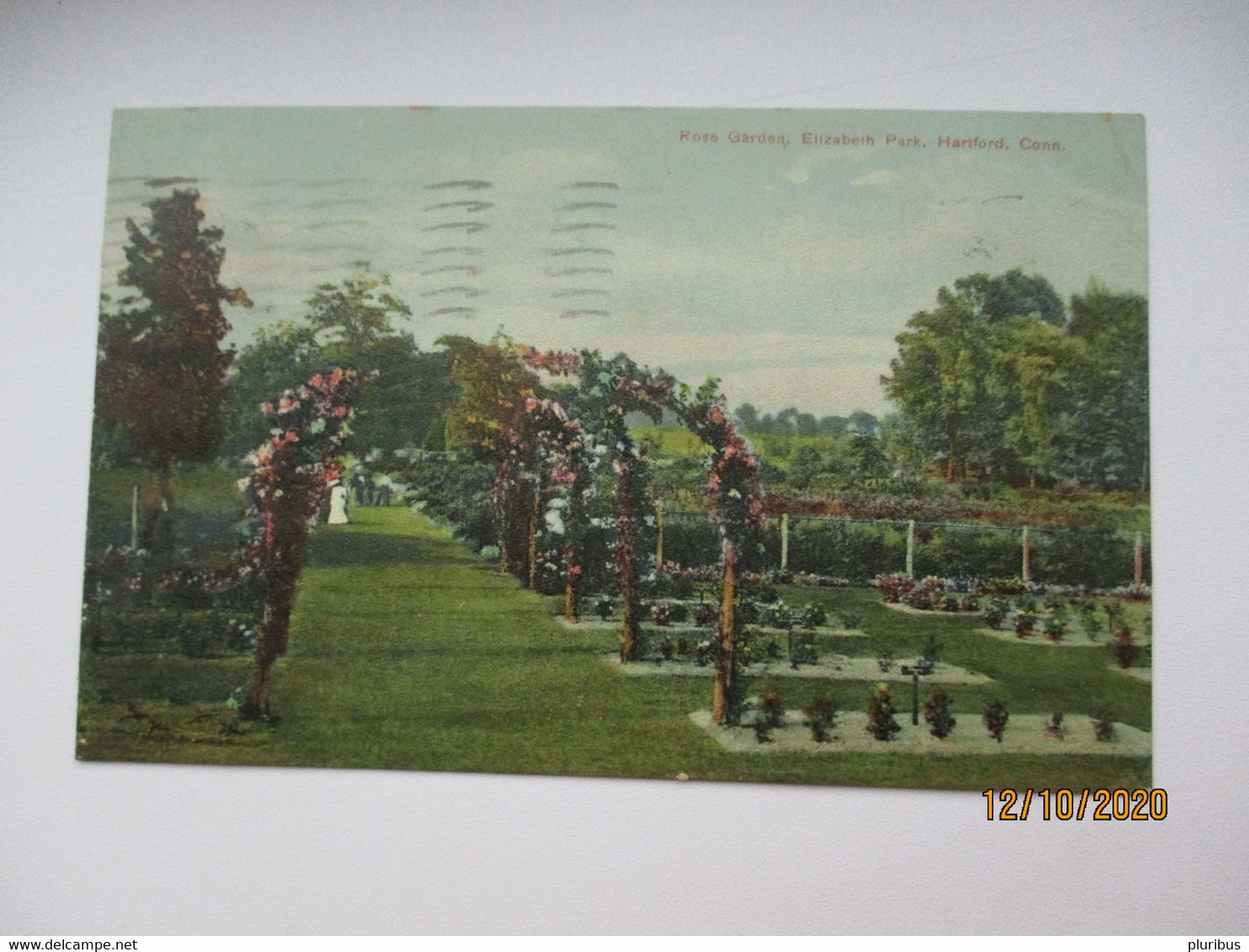 HARTFORD ROSE GARDEN , OLD POSTCARD  0 - Hartford