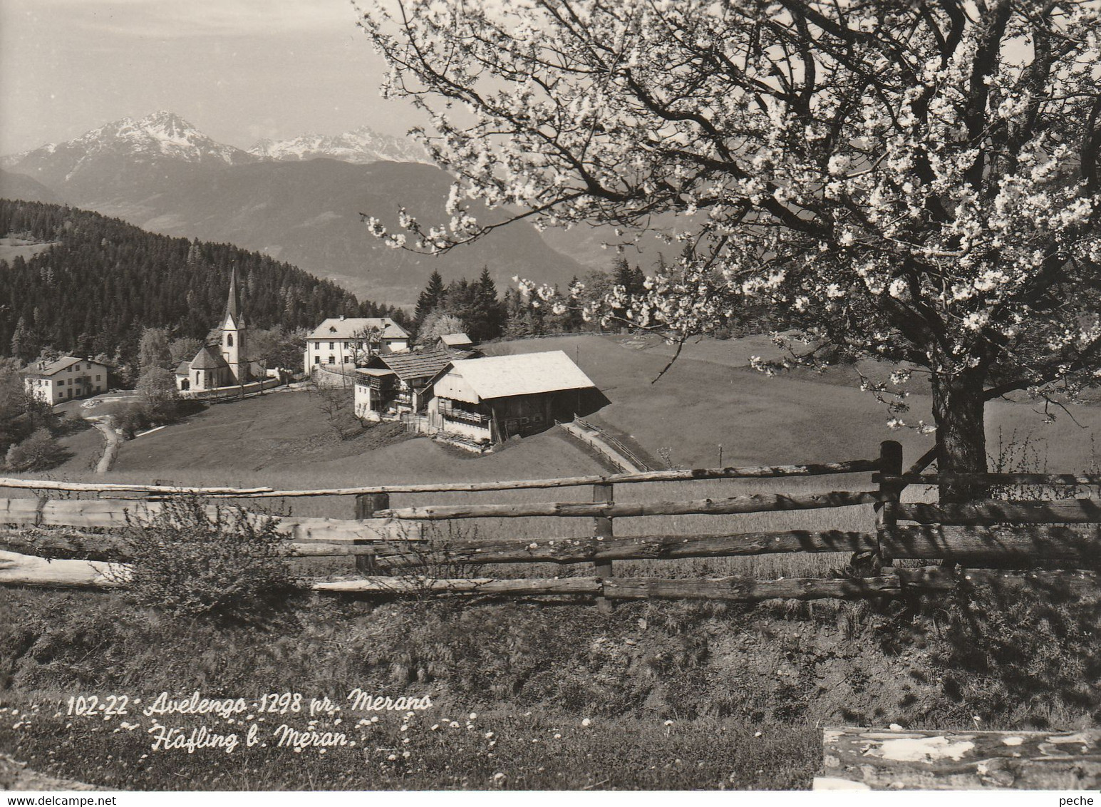 N°6684 R -cpsm Avelengo  Haqfling -rifugio Zuegg Hütte- - Other & Unclassified