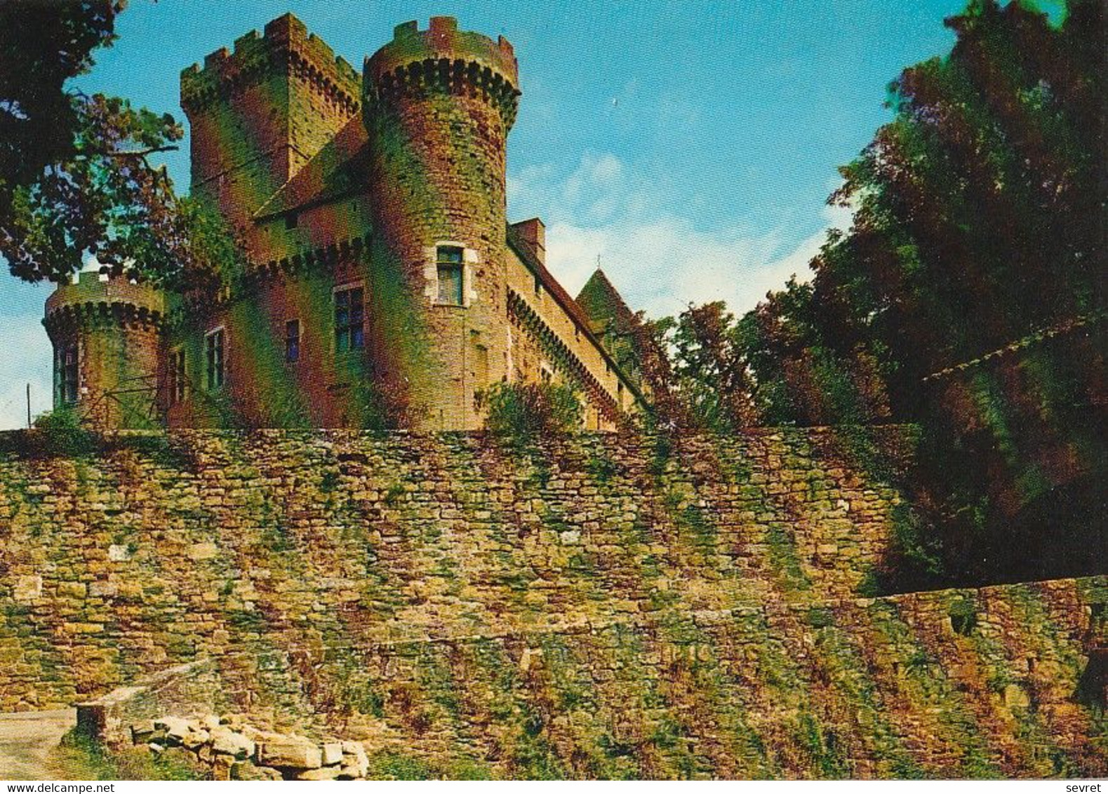 Château De CASTELNAU ( 2è Forteresse De France). CPM - Andere & Zonder Classificatie