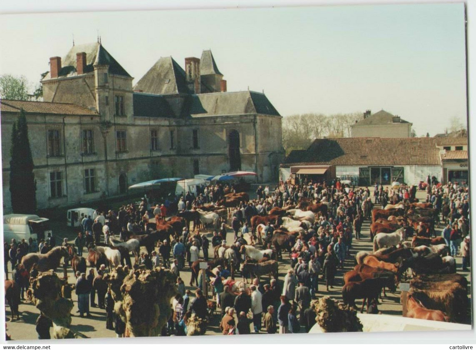 CPM 79 COULONGES SUR L'AUTIZE ... 22 Mars 1997, La Foire Aux Chevaux Devant Le Château (Livenais) - Coulonges-sur-l'Autize