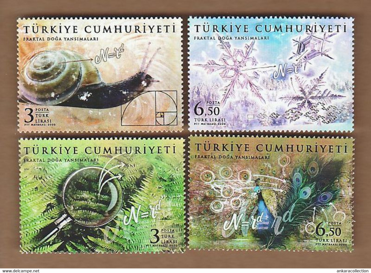 AC - TURKEY STAMP -  FRACTAL IMAGES OF NATURE MNH 15 OCTOBER 2020 SNAIL SHELL, SNOWFLAKE, PEACOCK FEATHERS, FERN - Usati