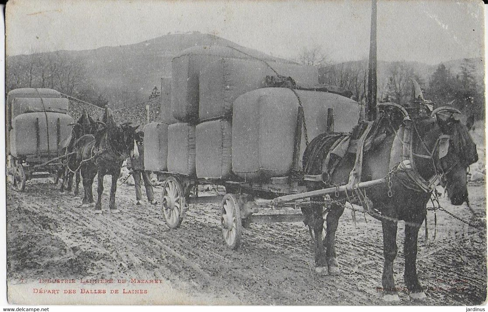 MAZAMET  :Industrie Lainière - Départ Des Balles De Laine En Convoi ( 2 Attelages) - Mazamet