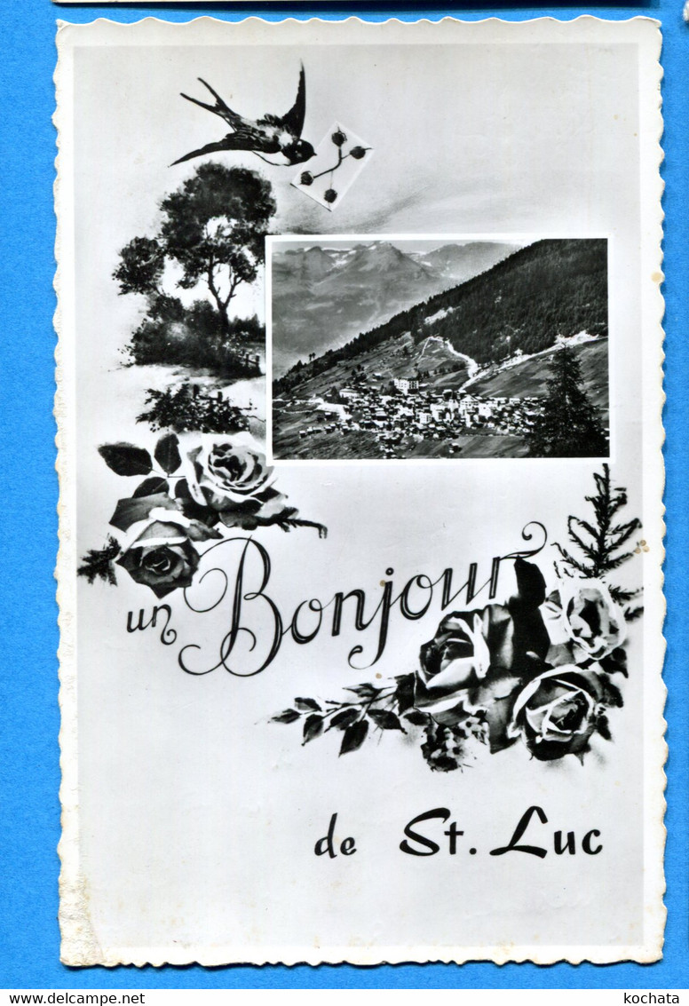 COVR1347, Un Bonjour De St. Luc, Perrochet, Circulée Poste De Campagne - Saint-Luc
