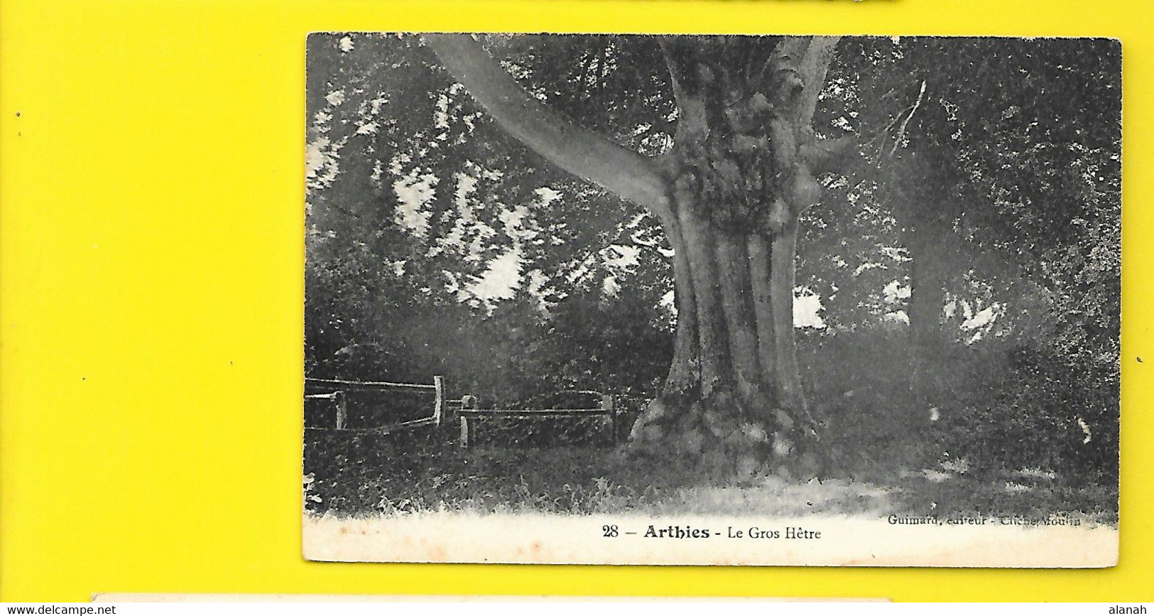 ARTHIES Rare Le Gros Hêtre (Guimard) Val D'Oise (95) - Arthies