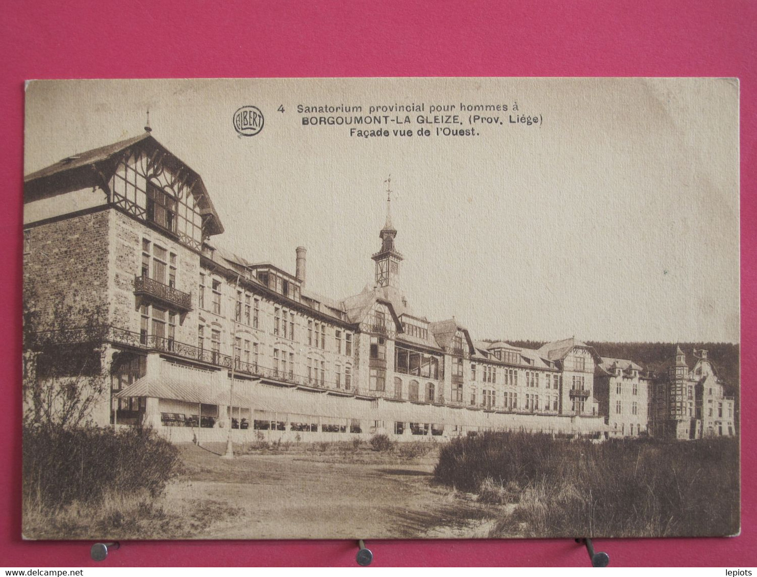 Visuel Très Peu Courant - Belgique - Borgoumont La Gleize - Sanatorium Provincial Pour Hommes - Recto-verso - Stoumont